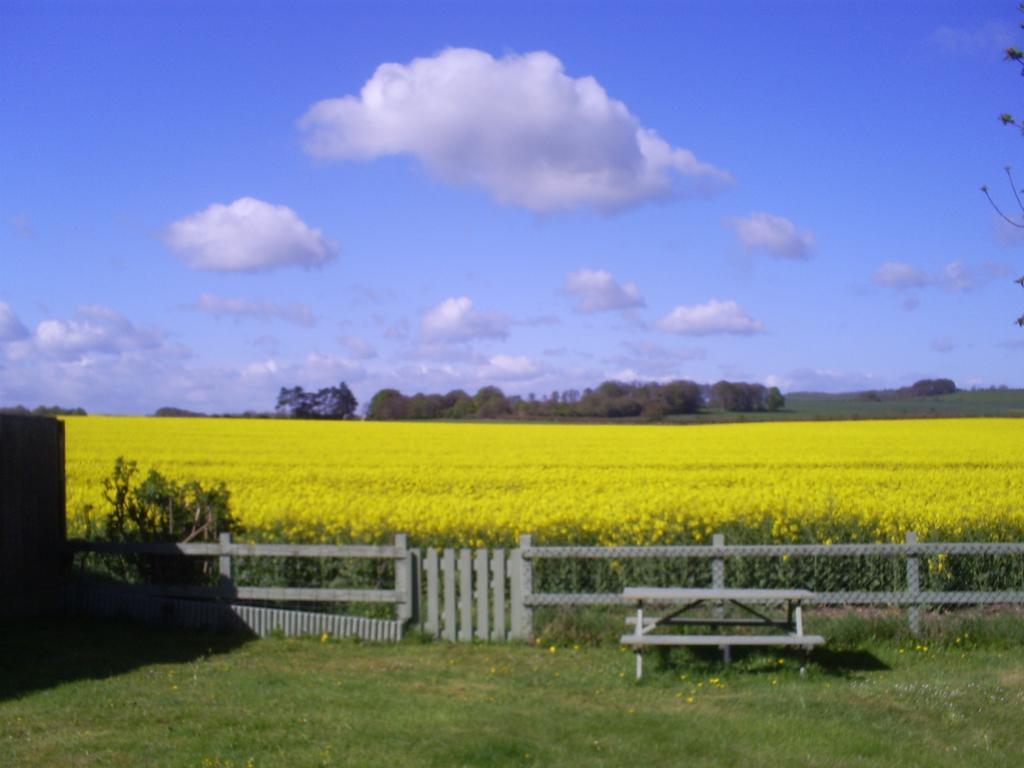 B&B Haven At Avebury Exteriér fotografie